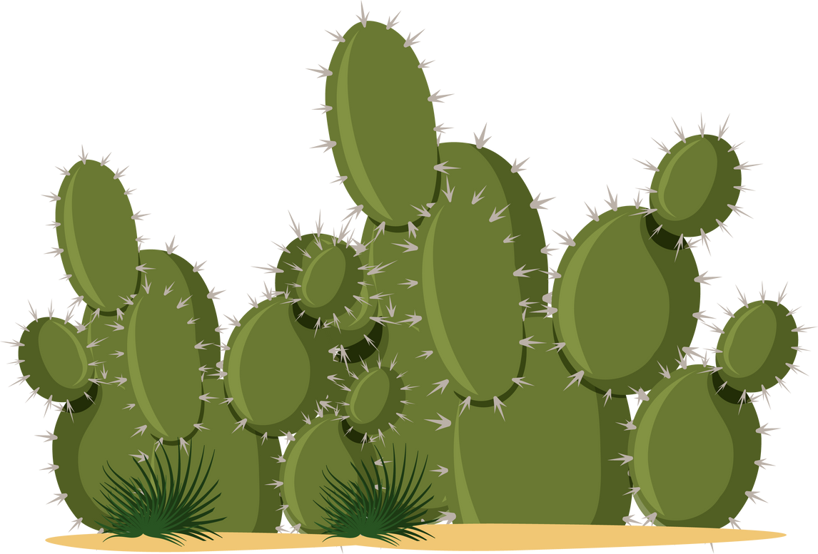 Catus plants cartoon style on white background